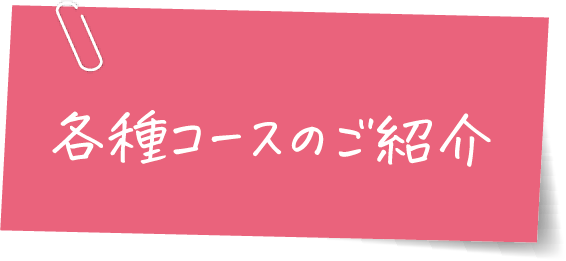 各種コースの紹介